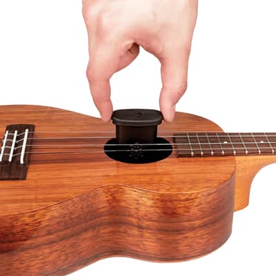 D'Addario Ukulele Humidifier Pro; UHP