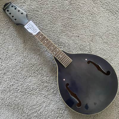 Hohner Old Style Mandolin Project in Transparent Black