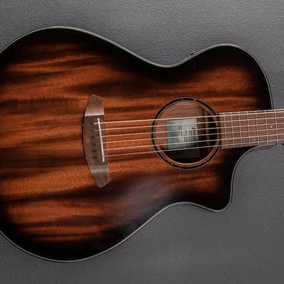 Breedlove Discovery S Concert ED-CE '22