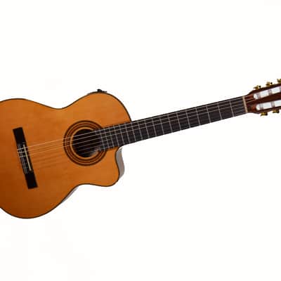 Ibanez GA6CE-AM Classical Cutaway Nylon String Acoustic Guitar 2026 - Natural Gloss Finish