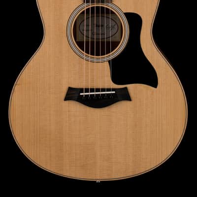 Taylor GS Mini Sapele #36190