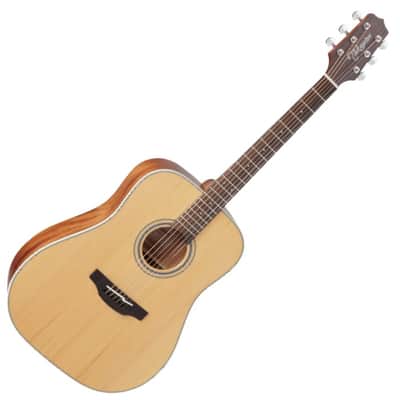 Takamine GD20-NS G-Series G20 Acoustic Guitar in Natural Finish