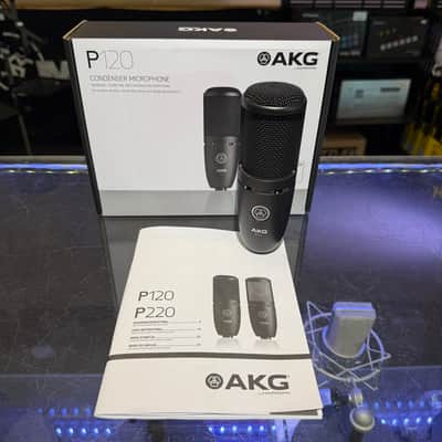 Akg P120