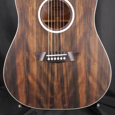 Washburn Deep Forest Ebony DFED Dreadnought Acoustic Guitar