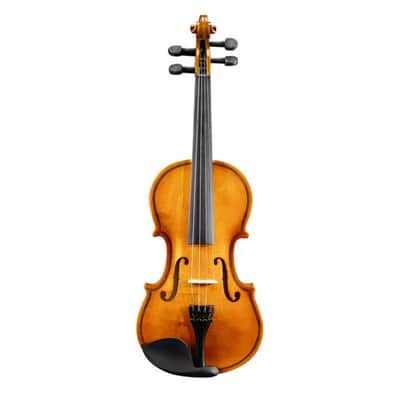 3/4 Beginner Acoustic Violin Kit w/ Case, Bow, Shoulder Rest, Rosin & Strings β Student Starter Set